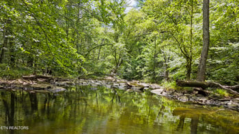 0 Big Spring Rd, Oneida, TN 37841