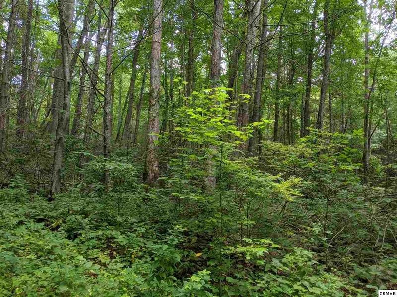 0 Big Sycamore St, Sevierville, TN 37862
