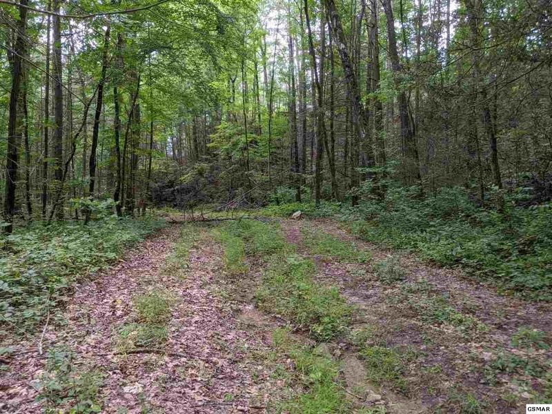 0 Big Sycamore St, Sevierville, TN 37862