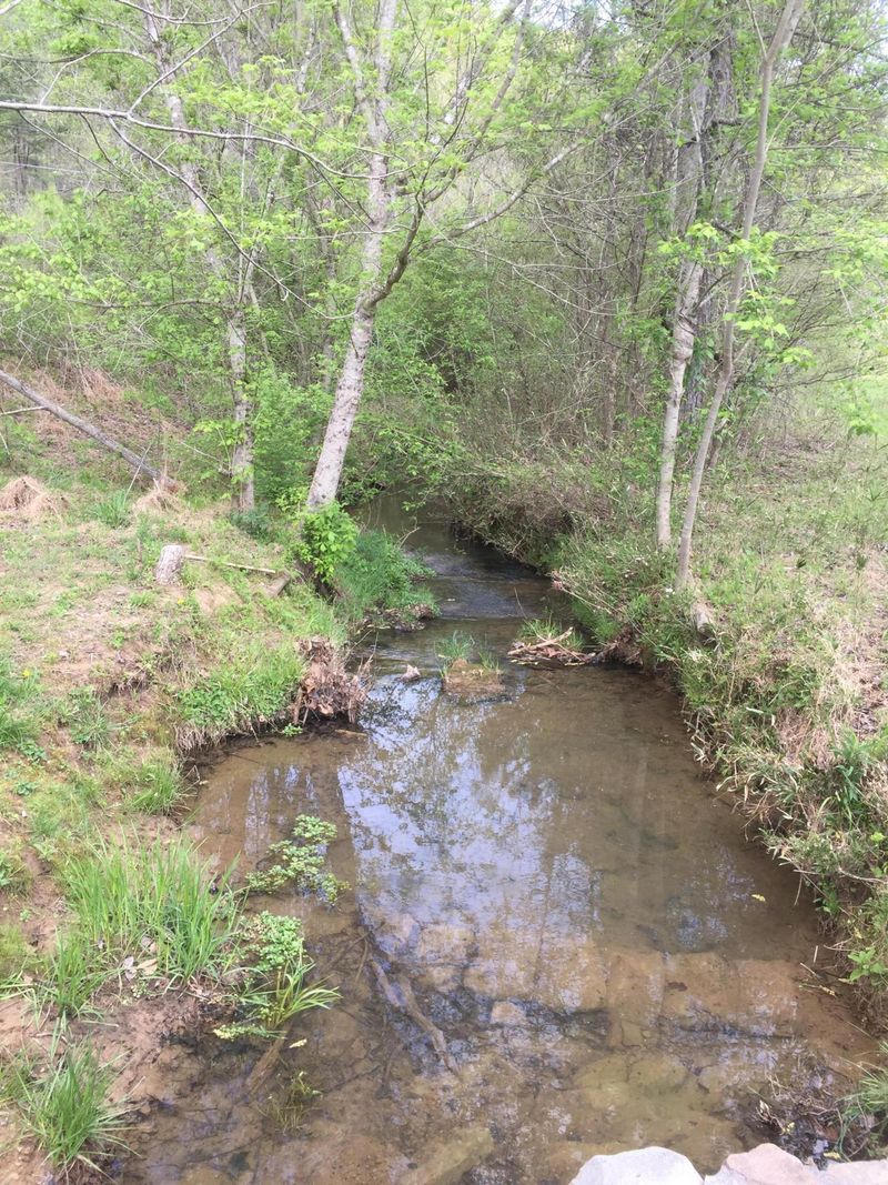 0 Bill Everett Rd, Maryville, TN 37803