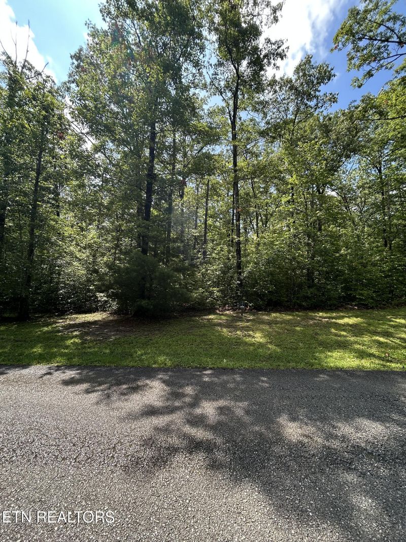 0 Bill Swain Dr, Oneida, TN 37841