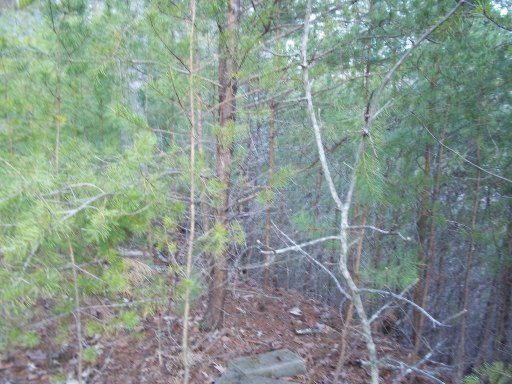 0 Birch Dr, Sevierville, TN 37876
