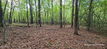 0 Birch Pl, Monterey, TN 38574