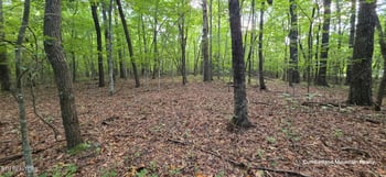 0 Birch Pl, Monterey, TN 38574