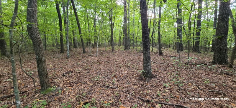 0 Birch Pl, Monterey, TN 38574
