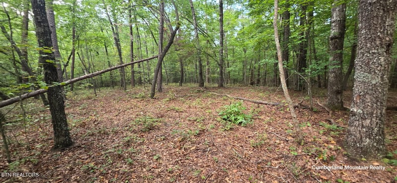 0 Birch Pl, Monterey, TN 38574