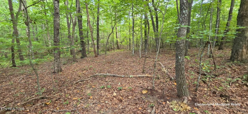 0 Birch Pl, Monterey, TN 38574