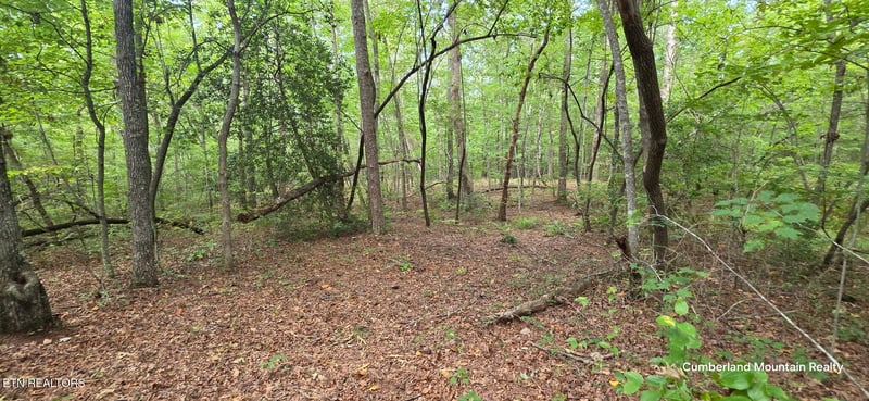 0 Birch Pl, Monterey, TN 38574