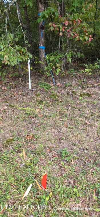 0 Birch Pl, Monterey, TN 38574