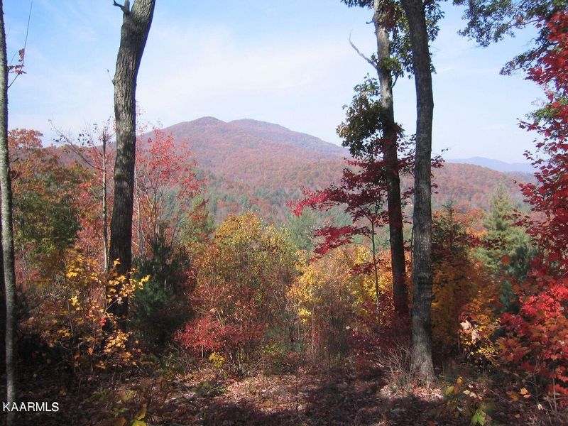 0 Bitter Creek Hts, Harriman, TN 37748