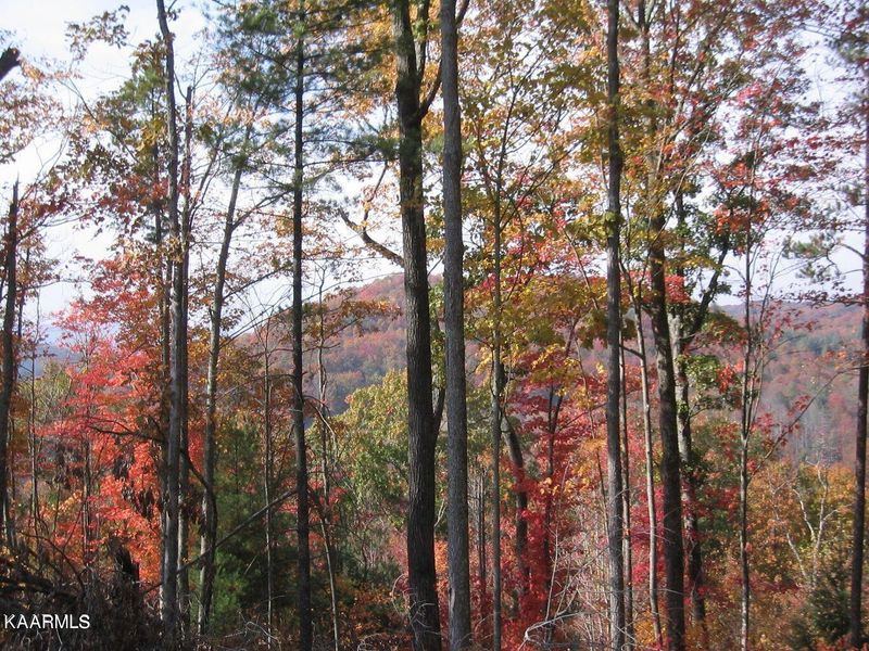 0 Bitter Creek Hts, Harriman, TN 37748