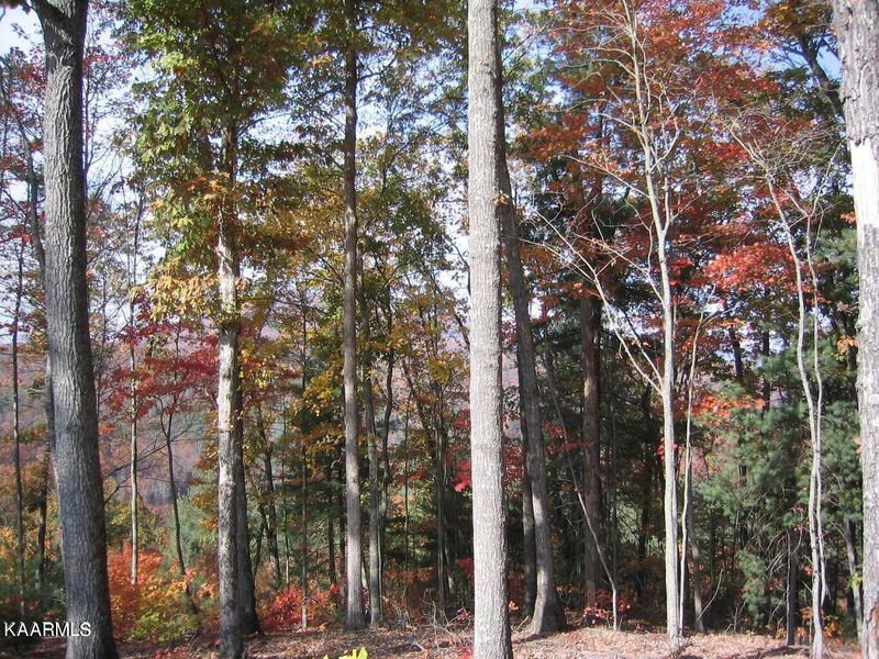 0 Bitter Creek Hts, Harriman, TN 37748
