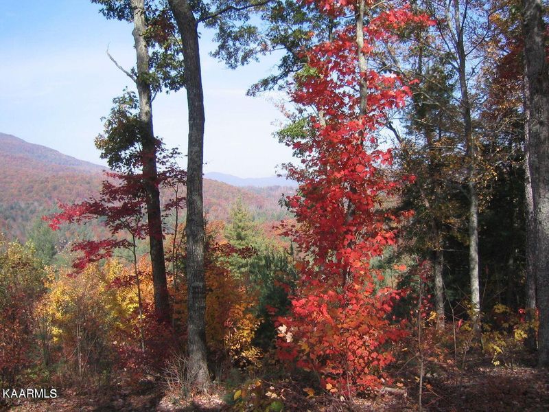 0 Bitter Creek Hts, Harriman, TN 37748