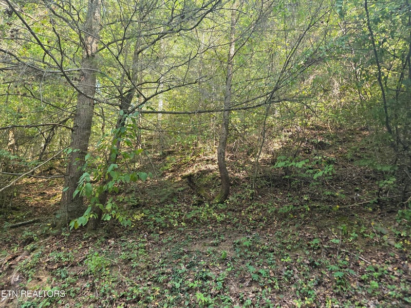0 Black Bear Cub Way, Pigeon Forge, TN 37862