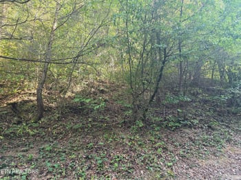 0 Black Bear Cub Way, Pigeon Forge, TN 37862