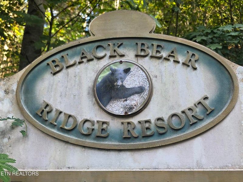 0 Black Bear Cub Way, Pigeon Forge, TN 37862