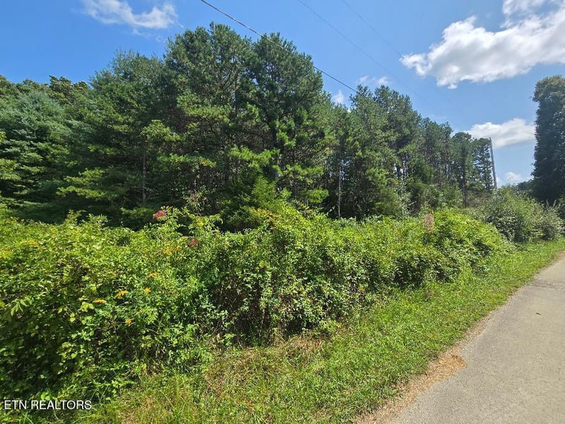 0 Black Creek Rd, Oneida, TN 37841