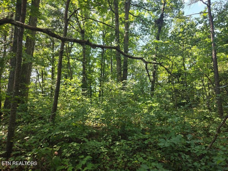 0 Black Creek Rd, Oneida, TN 37841
