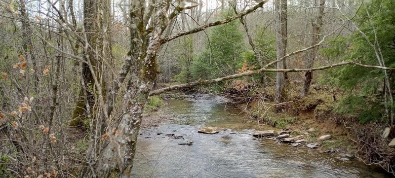 0 Black Creek Rd, Robbins, TN 37852