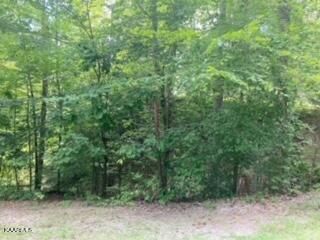 0 Black Fox Harber Lots 16 &17 Rd, Washburn, TN 37888