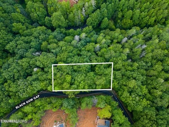 0 Black Gum Gap Rd, Gatlinburg, TN 37738