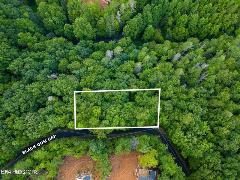 0 Black Gum Gap Rd, Gatlinburg, TN 37738