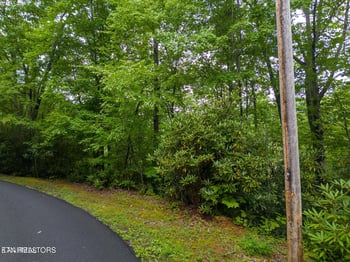 0 Black Gum Gap Rd, Gatlinburg, TN 37738