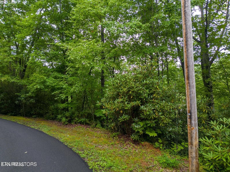 0 Black Gum Gap Rd, Gatlinburg, TN 37738