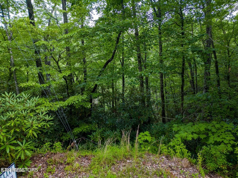 0 Black Gum Gap Rd, Gatlinburg, TN 37738