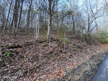 0 Black Gum Rd, Gatlinburg, TN 37738