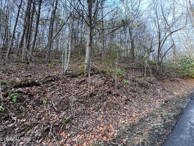0 Black Gum Rd, Gatlinburg, TN 37738