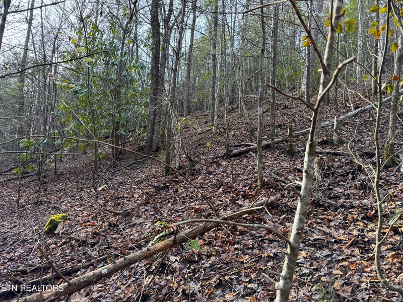 0 Black Gum Rd, Gatlinburg, TN 37738