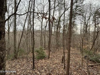 0 Black Hawk Dr, Ten Mile, TN 37880