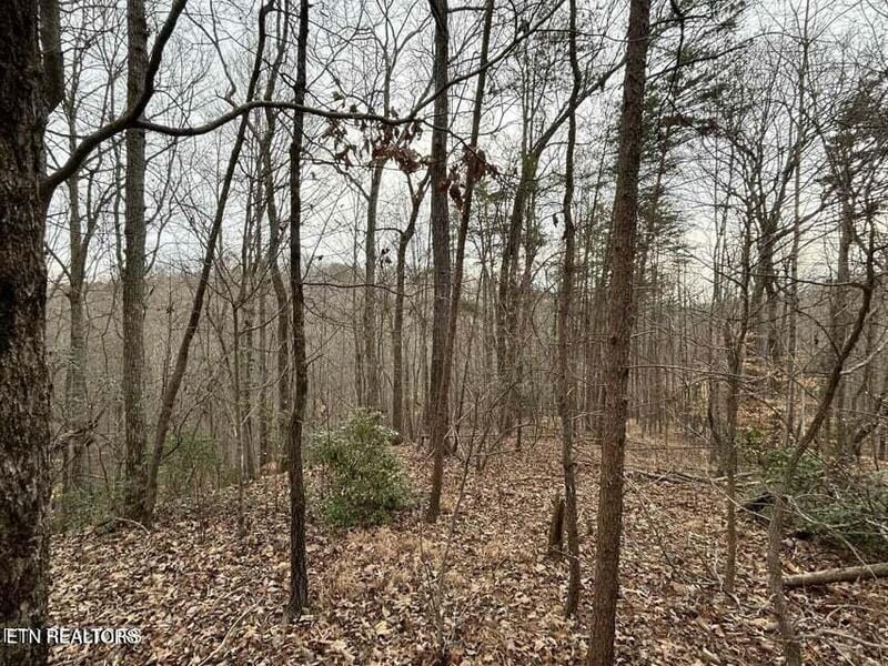 0 Black Hawk Dr, Ten Mile, TN 37880