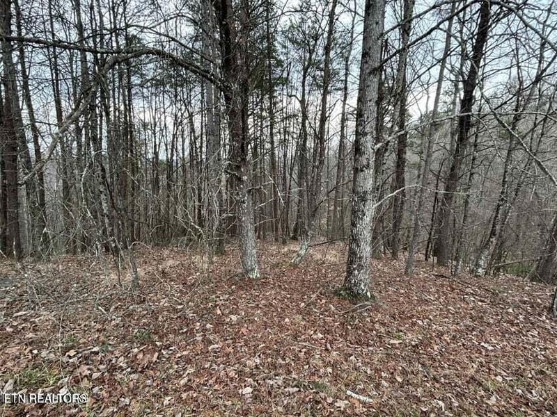 0 Black Hawk Dr, Ten Mile, TN 37880