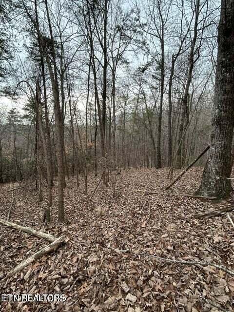 0 Black Hawk Dr, Ten Mile, TN 37880