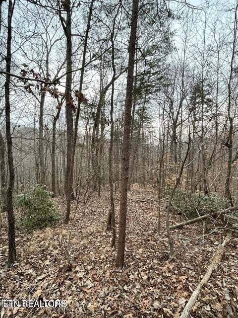 0 Black Hawk Dr, Ten Mile, TN 37880