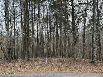 0 Black Hawk Dr, Ten Mile, TN 37880