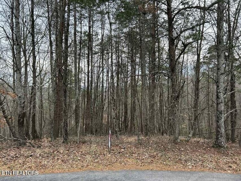 0 Black Hawk Dr, Ten Mile, TN 37880