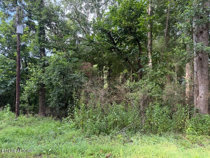 0 Black Jack Rd, Rockwood, TN 37854