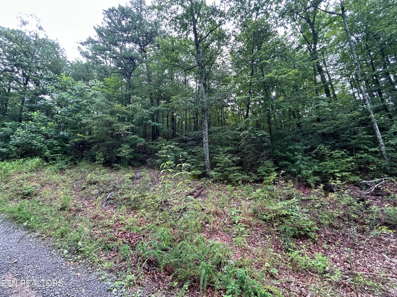 0 Black Oak Dr, Sevierville, TN 37876
