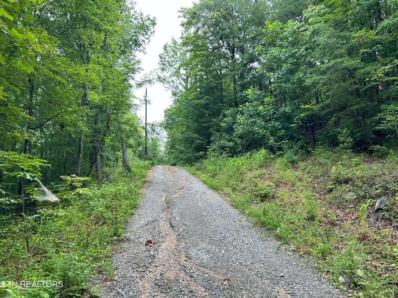 0 Black Oak Dr, Sevierville, TN 37876