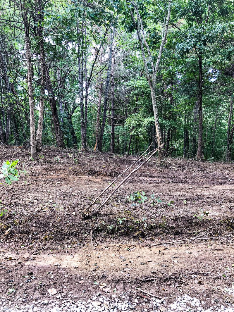 0 Black Oak Rd, Harriman, TN 37748