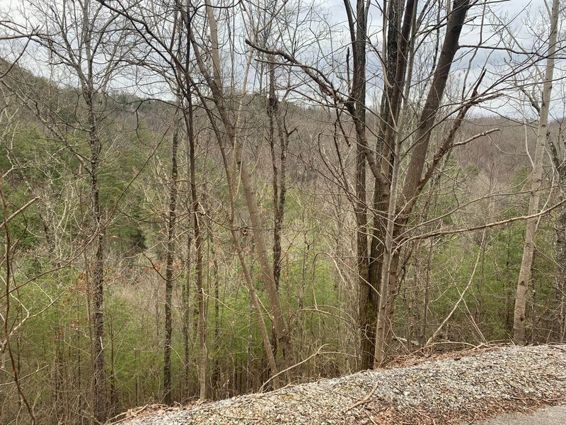 0 Black Powder Ln, Sevierville, TN 37862