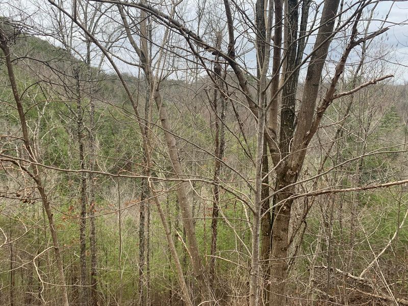 0 Black Powder Ln, Sevierville, TN 37862