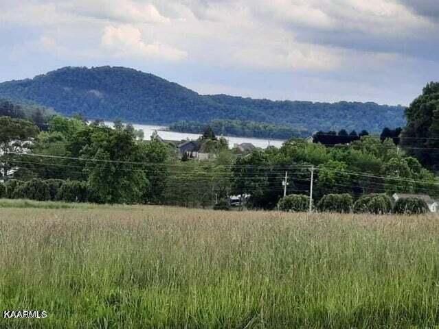 0 Blackwell Branch Rd, Rutledge, TN 37861