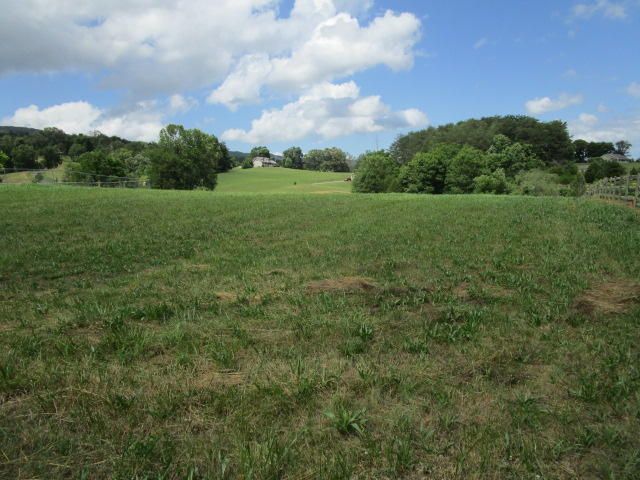 0 Blaine Chapel Rd, Rutledge, TN 37861