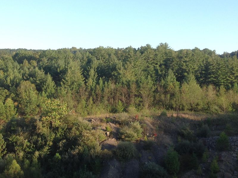 0 Blake Rd, Wartburg, TN 37887