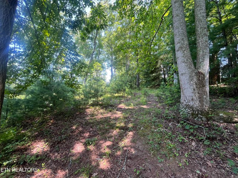 0 Blizzard Mine Rd, Harriman, TN 37748