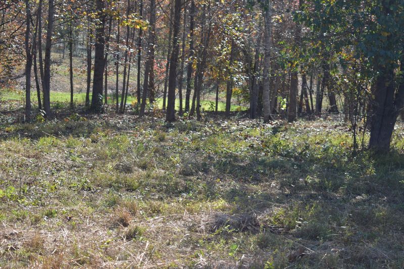 0 Blue Heron Bluff, Harriman, TN 37748